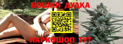 спиды Дубна