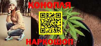 спиды Дубна