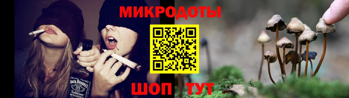 Псилоцибиновые грибы MAGIC MUSHROOMS Долгопрудный